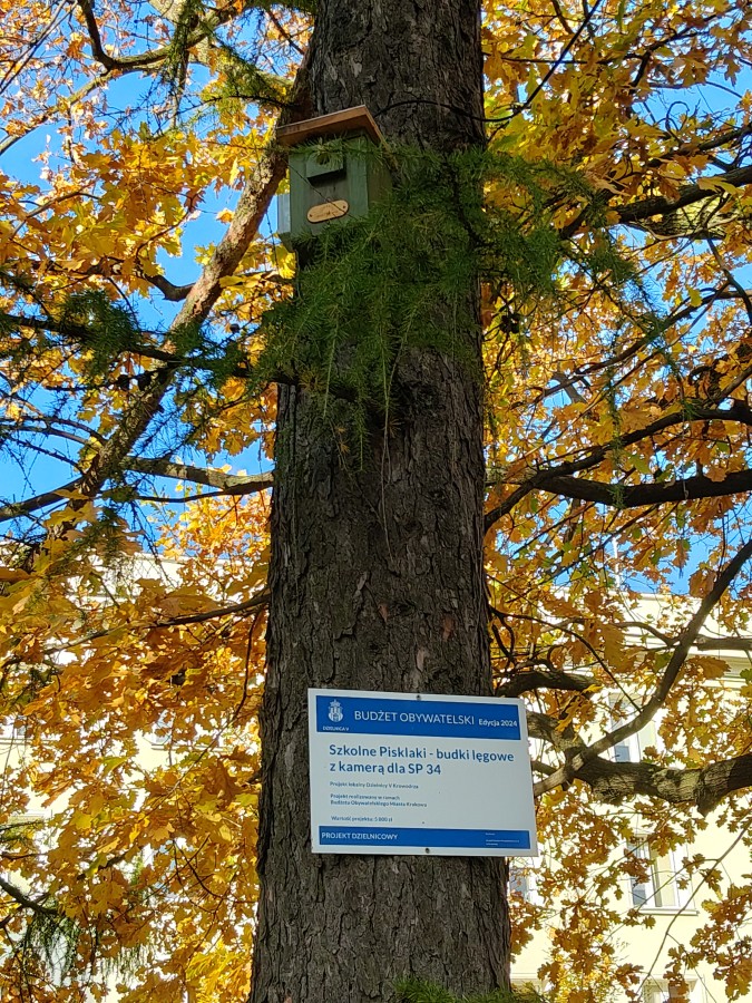 IMG20251030094020-1